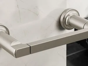 RollCaddy Toilet Paper Holder, Pivoting Arm Style, Stainless Steel, Wall Mount